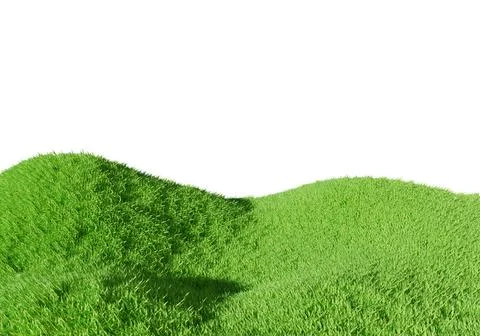 3d rendering. Green grass field isolated on white background. Stock Photos
