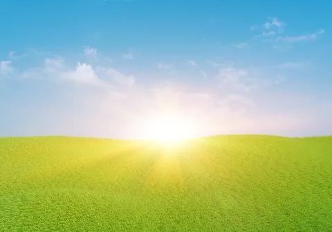 3d rendering. Green grass field with clouds and sun over blue sky background. Fotos Stock