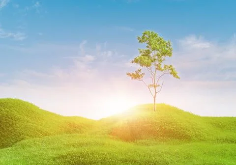 3d rendering. Green grass field with clouds and sun over blue sky background. Fotos Stock