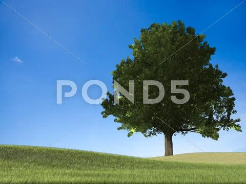 The 3d rendering of Green grass on a golf field Stock Illustration