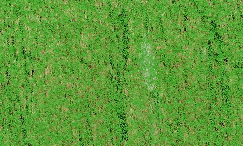3D rendering. Green grass lawn texture background. top view Stock Photos
