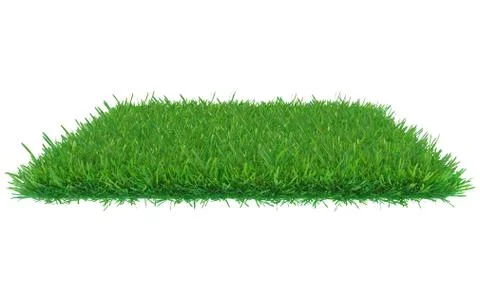 3d rendering of a green grass patch isolated on white background for イラスト素材