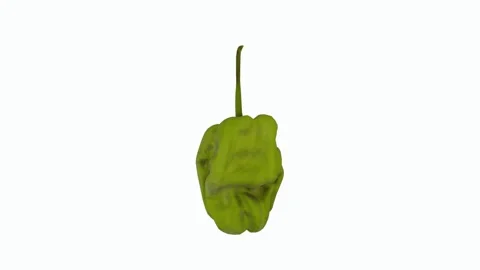 3D rendering of a green pepper with detailed textures and shapes Stock Footage 303594792