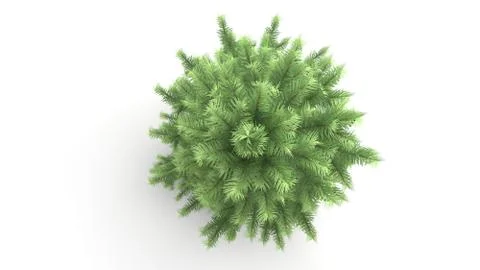 3d rendering of a green plant isolated on white Stock Illustration