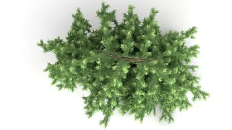3d rendering of a green plant isolated on white Stock Illustration
