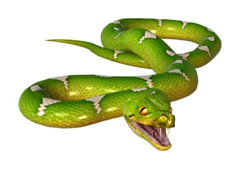 3D Rendering Green Tree Python on White Stock Illustration