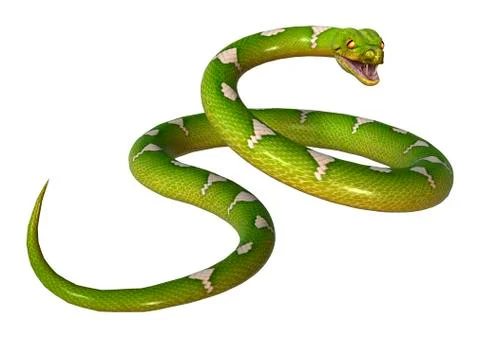 3D Rendering Green Tree Python on White Illustrazione stock