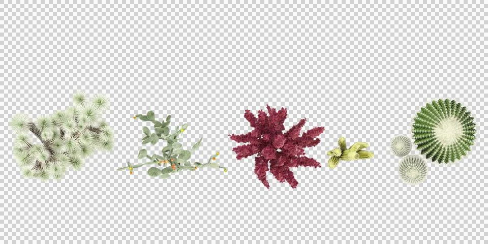 3D rendering of ground cover filled with yucca brevifolia,opuntia ficus-ind.. Stock Illustration