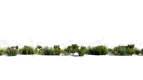 3d rendering of a group of plants raw for architectrural background use isola Stock Illustration