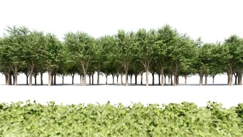 3d rendering of a group of plants raw for architectrural background use isola Stock Illustration