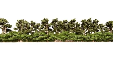 3d rendering of a group of plants raw for architectrural background use isola Stock Illustration