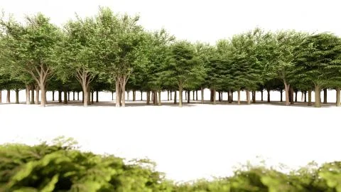 3d rendering of a group of plants raw for architectrural background use isola Stock Illustration