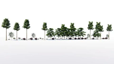 3d rendering of a group of tree raw for architectrural background use isolate Stock Illustration