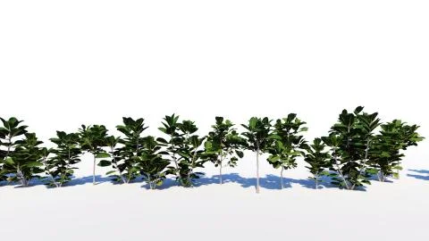 3d rendering of a group of tree raw for architectrural background use isolate Stock Illustration