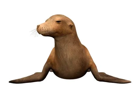 3D Rendering Harbor Seal on White Ilustração Stock