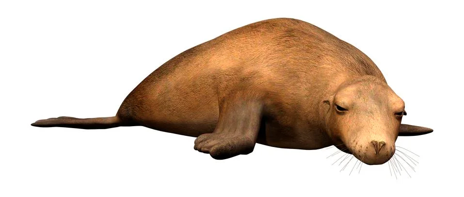 3D Rendering Harbor Seal on White Ilustração Stock