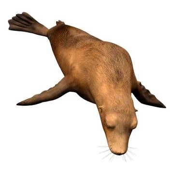 3D Rendering Harbor Seal on White Ilustração Stock