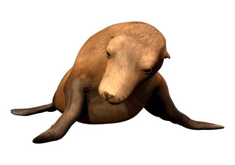 3D Rendering Harbor Seal on White Ilustração Stock