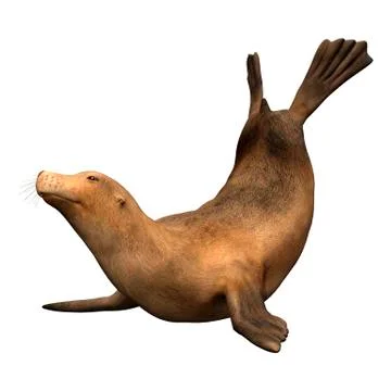 3D Rendering Harbor Seal on White Stock Illustration