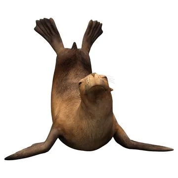 3D Rendering Harbor Seal on White Ilustração Stock