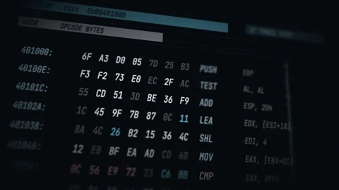 3D rendering of hexadecimal code display in low level programming and reverse en Stock Footage 340188664