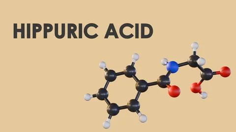 A 3D rendering of Hippuric Acid's molecular structure. Stock Illustration