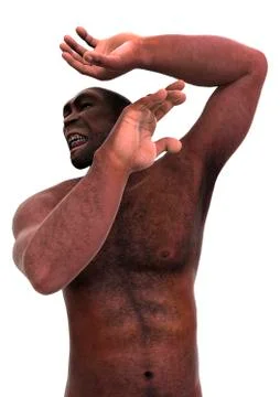 3D Rendering Homo Erectus on White Illustrazione stock