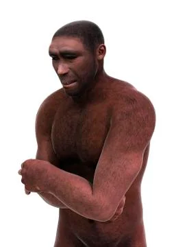 3D Rendering Homo Erectus on White Illustrazione stock