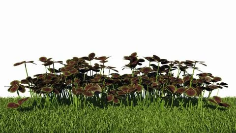 3d rendering of a horizontal seamless bushes Stock Illustration