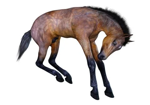 3D Rendering Horse Foal on White Illustrazione stock