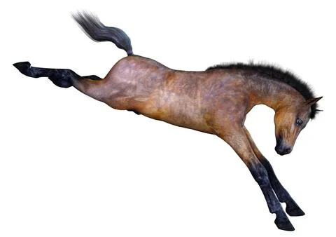 3D Rendering Horse Foal on White Illustrazione stock