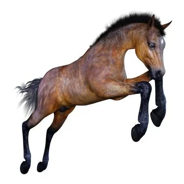 3D Rendering Horse Foal on White Illustrazione stock