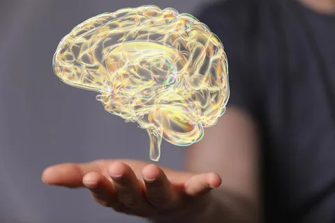 3D rendering of human brain anatomical model floating over a hand Stock Photos