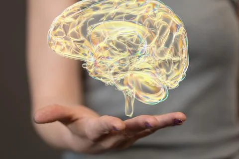 3D rendering of human brain anatomical model floating over a hand Stock Photos
