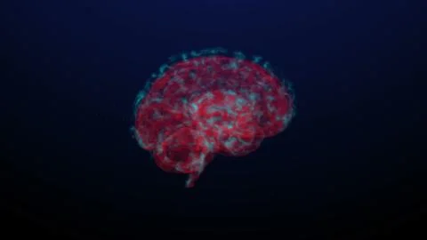 3d Rendering of Human Brain 스톡 일러스트