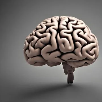 3D Rendering of a human brain Stock Illustration