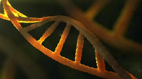 3d rendering of  human dna string on dark background Stock Illustration