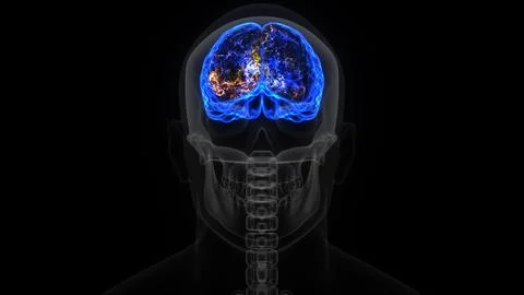 3d rendering of a human head, skull and brain electrical activity Stock Illustration