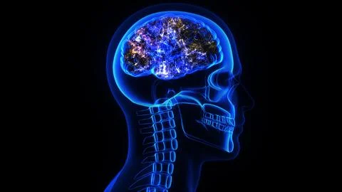 3d rendering of a human head, skull and brain electrical activity Stock Illustration