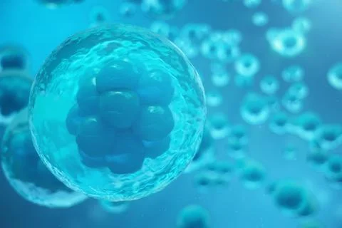 3D Rendering human or animal cells on blue background. Concept Early stage Stock Illustration
