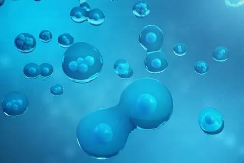 3D Rendering human or animal cells on blue background. Concept Early stage Stock Illustration