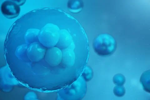 3D Rendering human or animal cells on blue background. Concept Early stage Stock Illustration