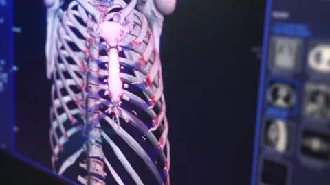 3D Rendering of Human Ribcage and Blood Vessels on Medical Imaging Screen. 動画素材 296929644
