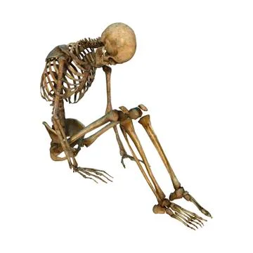 3D Rendering Human Skeleton on White Illustrazione stock