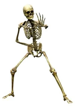 3D Rendering Human Skeleton on White Stock Illustration