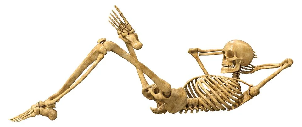3D Rendering Human Skeleton on White Stock Illustration