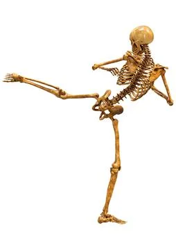 3D Rendering Human Skeleton on White Stock Illustration