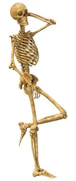 3D Rendering Human Skeleton on White Illustrazione stock