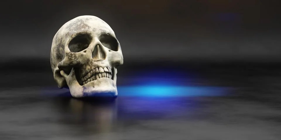 3D rendering of a human skull on a black surface Illustrazione stock