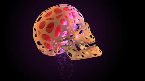 3D rendering of human skull with brain and nerves Stock Illustration